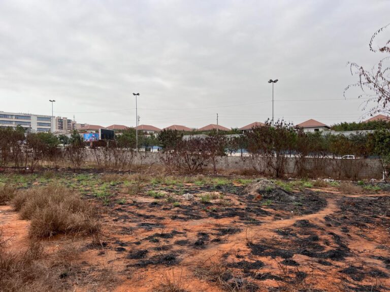 0aabdf96 2fef 4bae 962b 4a5f99fa3f91 768x576