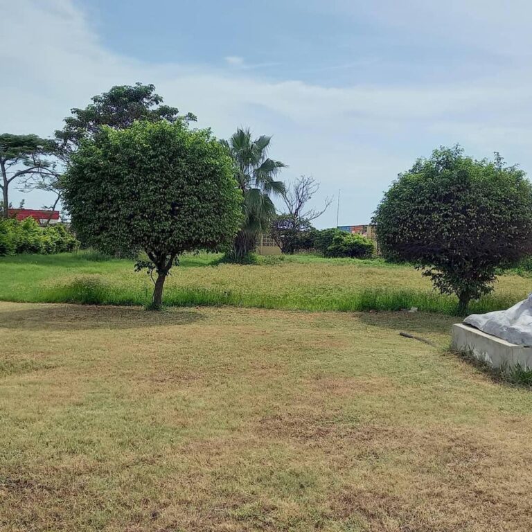 140627c9 5d5c 4bea 8358 08c50369fd05 768x768