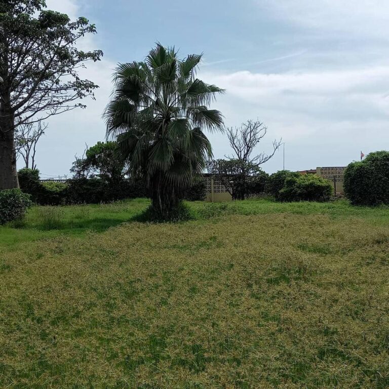 1ba04deb af8c 4464 95a3 f932c11a785d 768x768