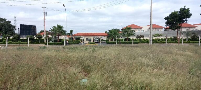 28d3d51a 1cf6 4294 a047 6f4ce8c39024 768x346