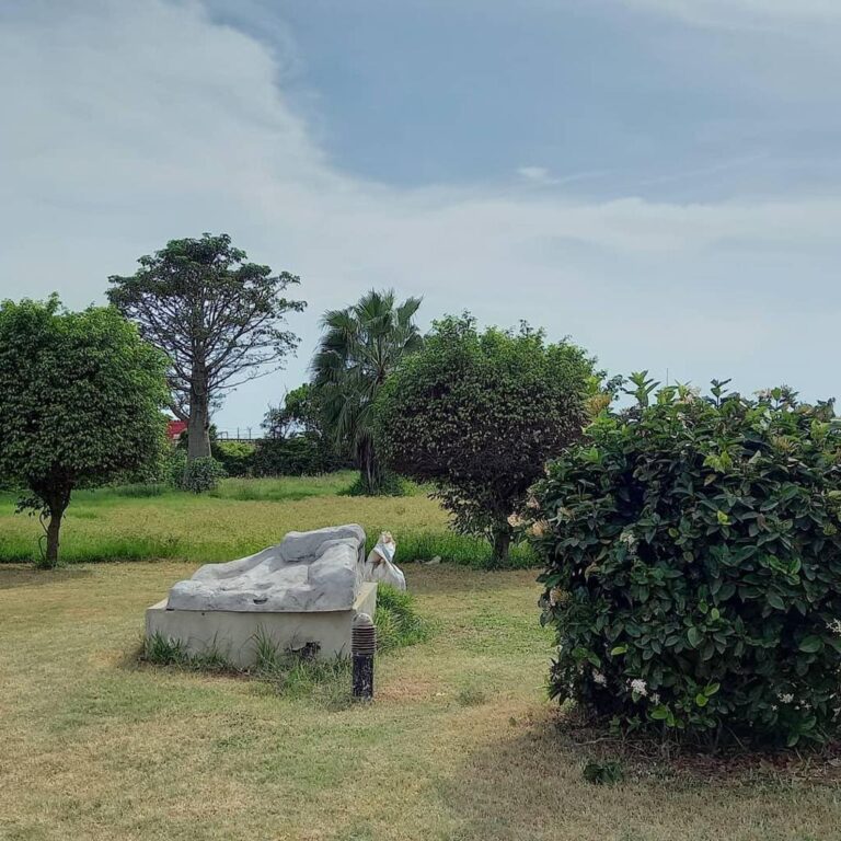 295edb0b 6ada 4a6b ba71 65460ae7ddda 768x768