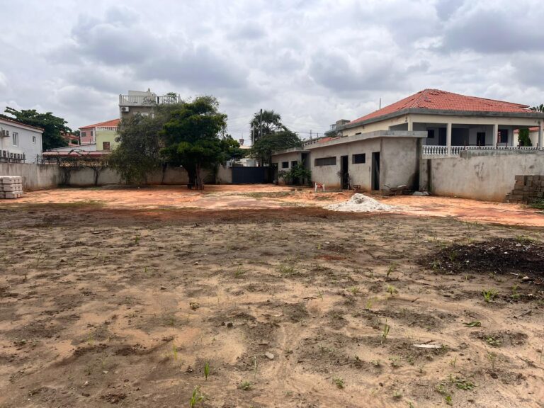 390b982f e3c1 40d8 9141 0e7e2f5db1b4 768x576