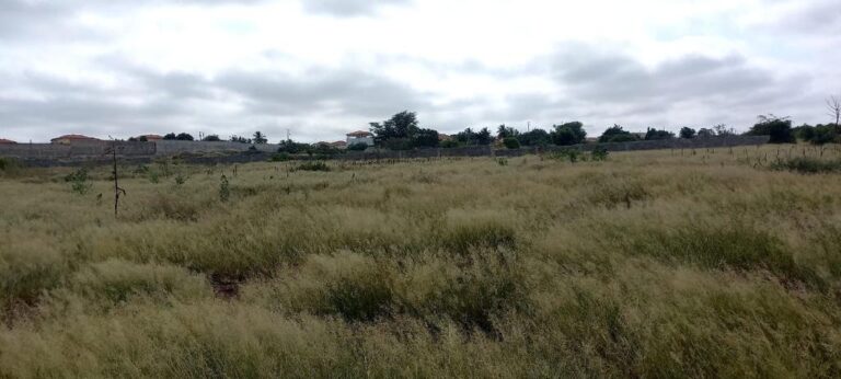 42294567 fbc1 4d45 bbac 882c8d3e1b3f 768x346