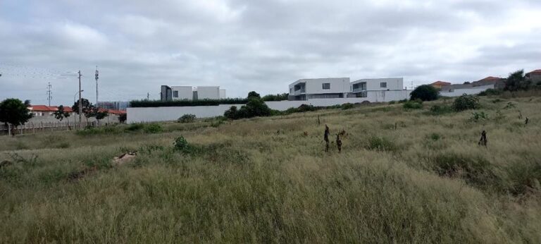 503bca3c 52c3 4685 b016 239258b18d8a 768x346