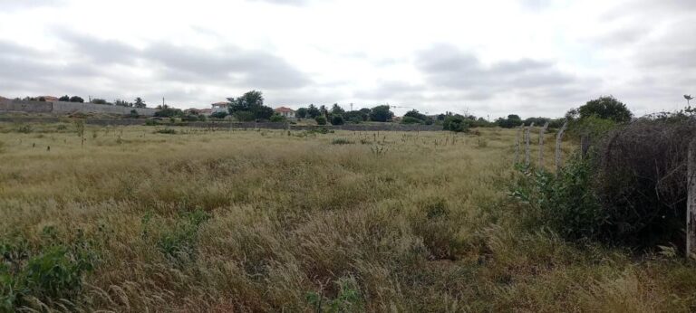 78540772 82de 4267 8e06 0fefaf9d9124 768x346