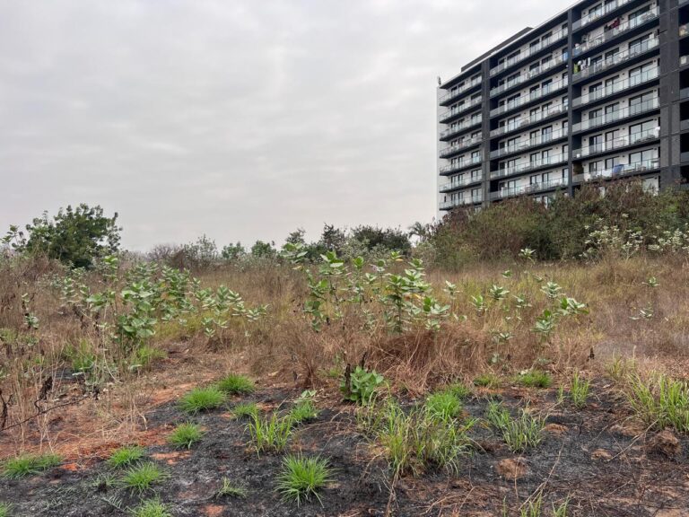 7dc44f0c 8ed5 4292 9de5 631c9e3adf65 768x576