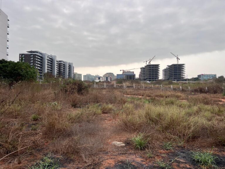 8a10b648 11e5 4238 89aa 5808242355d5 768x576