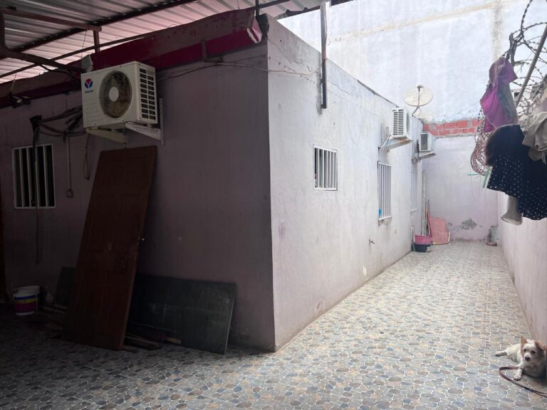 92cd012f f185 4b94 ad1e b02f0248641c 768x576