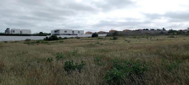 b15d2cc0 d186 4513 8d05 583258811435 768x346