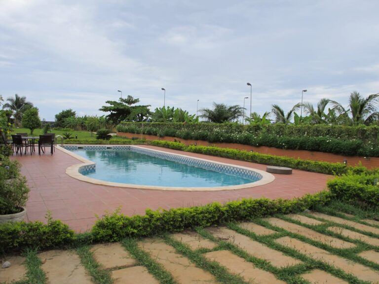 d97a01a0 94f0 46a8 b8f2 1e72f37f2859 768x576