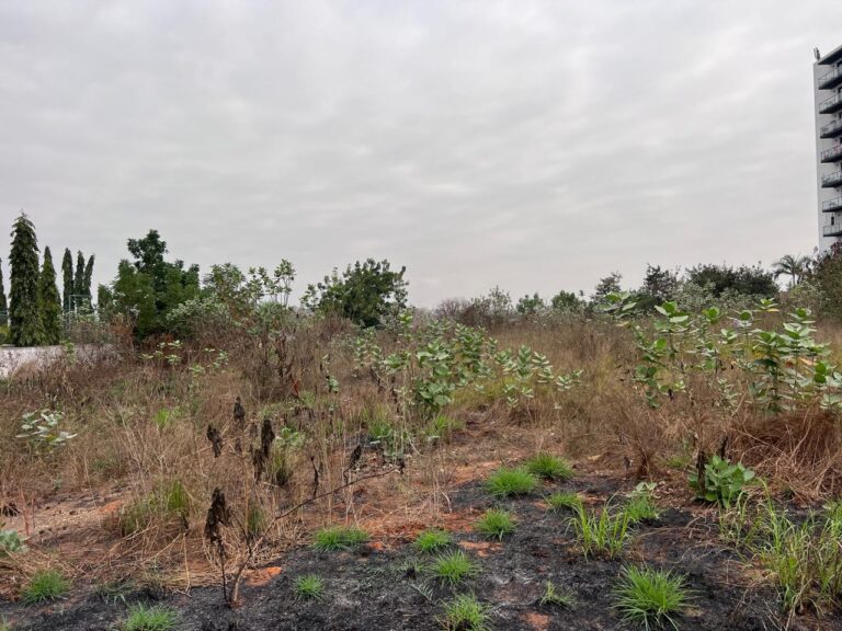 ea745652 4302 4eef 9e42 ec44f51484a3 768x576