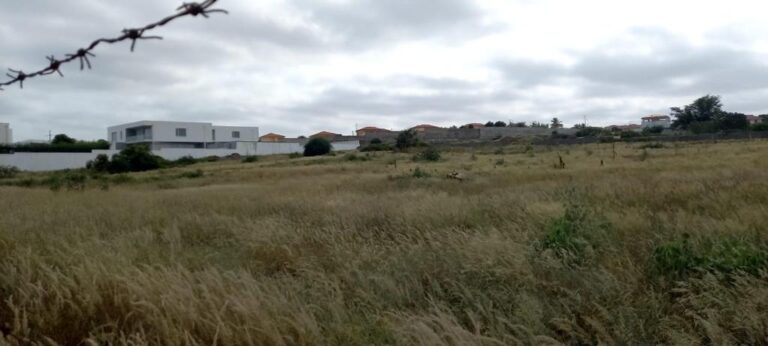 fd1127e3 ff95 4fab 88bb 676ff03831d1 768x346