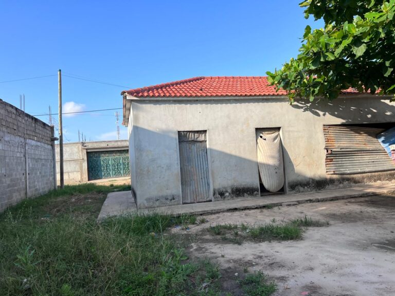 IMG 20241209 WA0011 768x576