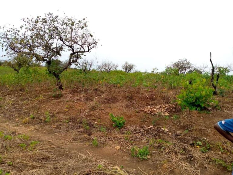 57bdb8a0 8186 4ac8 b7f8 bc8c62846313 768x576