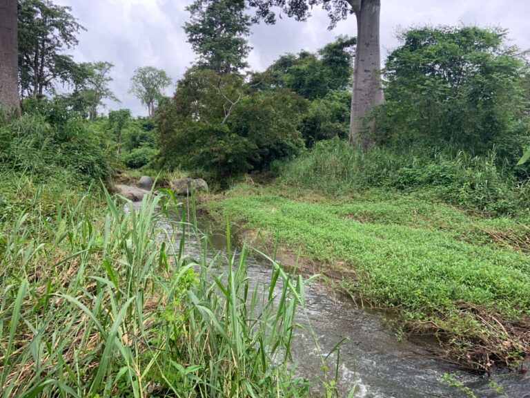 6f81618d 8714 410d 956f 6b3e2f521399 768x576