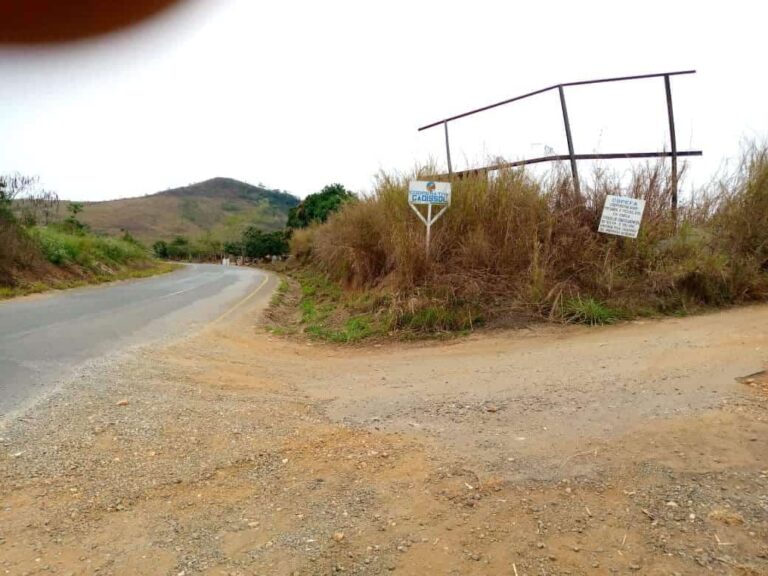 750823ab c9e3 4366 a73c cd2dca61bc9d 768x576