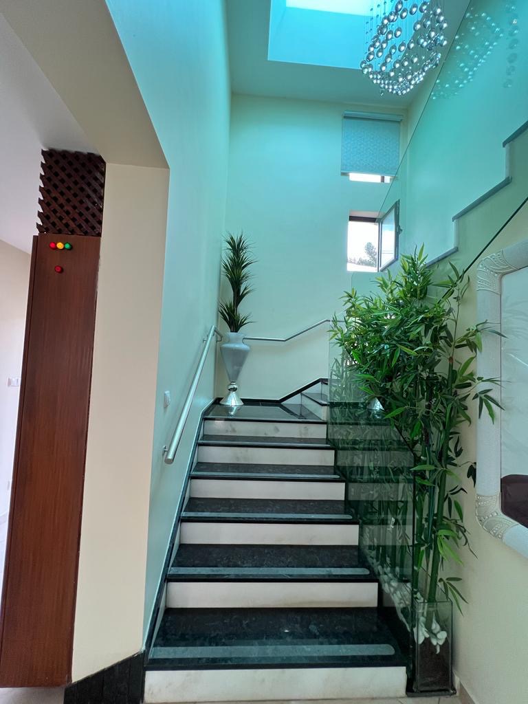 3a7574c6 56c6 492f b6e6 65d68825a96d