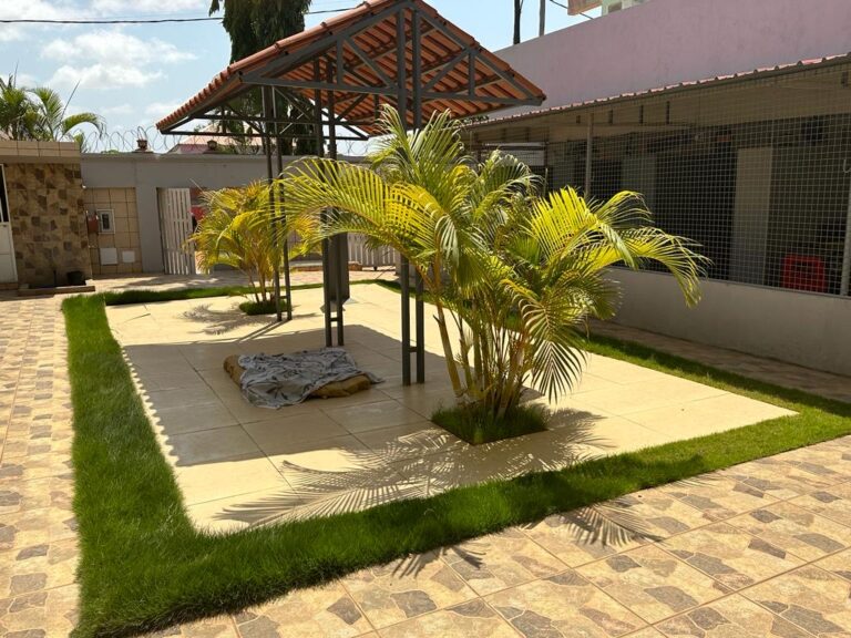 51d8e248 dd07 4f5c a83a 584f6d4f0254 768x576