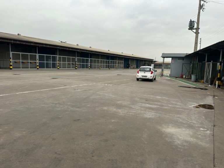 6692bb72 b7e1 418b a31a 11fc896f3611 768x576