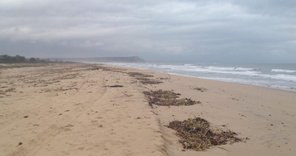 6c2653f1 3521 417f a96c e15fae0432f8 1024x539