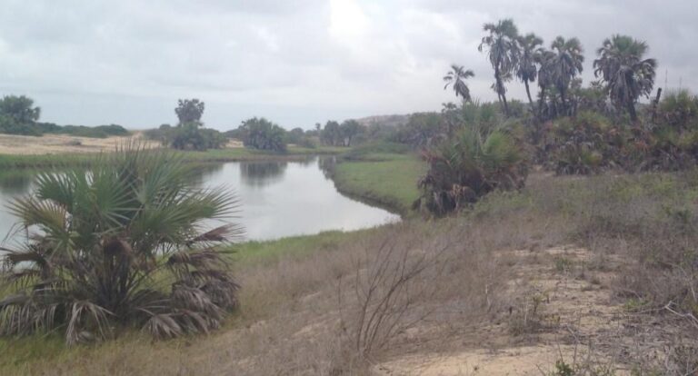 93cdeb73 bb40 4d9b 8d13 0f502586c1f4 768x414