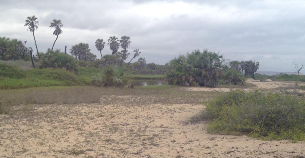 d1a3a44d 4695 4e81 b751 cc7163374d96 1024x532