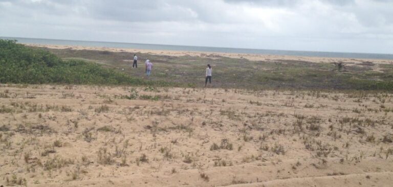 d67cabbb 3b65 44f4 a93d e7c464ab7057 768x365