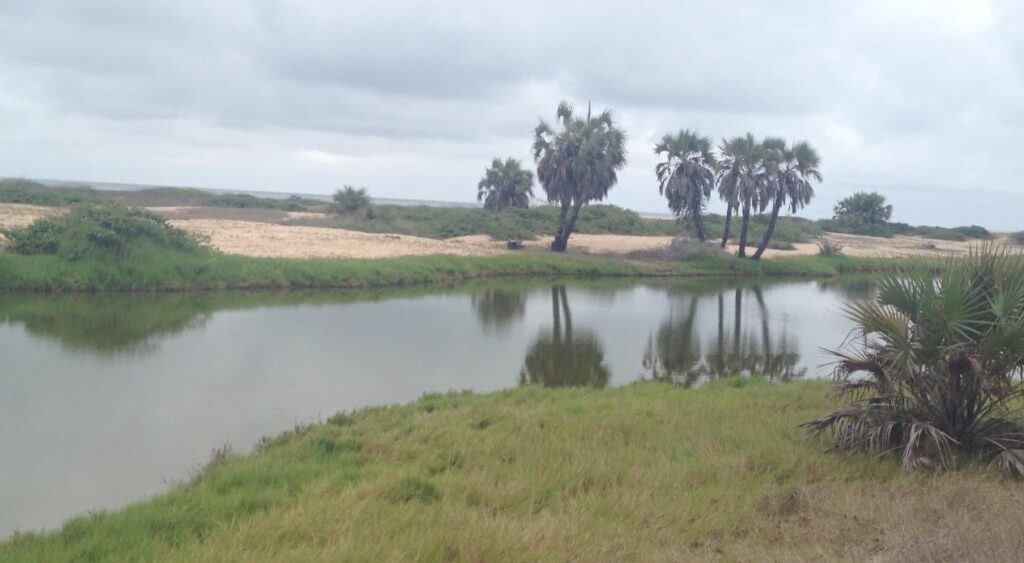 dd472f00 d694 43a7 8ccf 0c4ffed886c9 1024x563