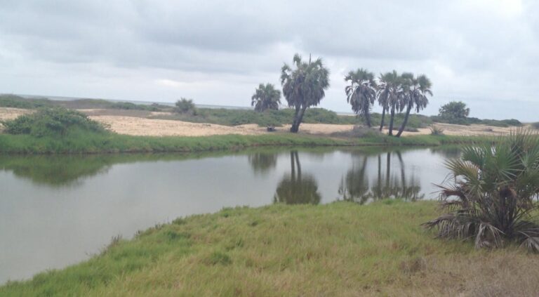 dd472f00 d694 43a7 8ccf 0c4ffed886c9 768x423